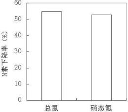 复苏可培养化的VBNC节杆菌DSC4菌株及其复苏方法和应用