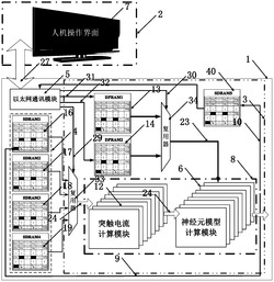 基于FPGA的Izhikevich神经元网络同步放电仿真平台