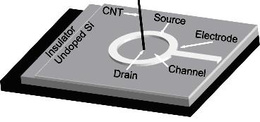 一种带有限流晶体管的碳纳米管场发射阵列及制备