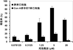 化合物尾孢酰胺在制备免疫增强剂中的用途
