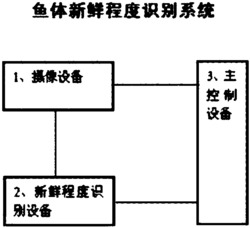 鱼体新鲜程度识别系统