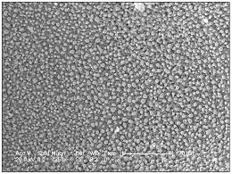 一种负载银纳米颗粒超大孔材料及其制备方法