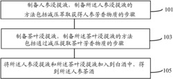 一种人参茶酒及其制备方法和应用