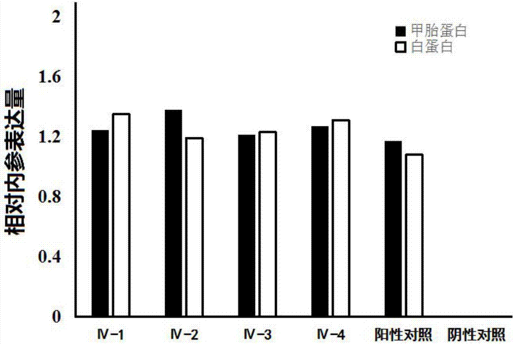 诱导骨髓间充质干细胞向肝细胞分化的人工多肽及其生物制品