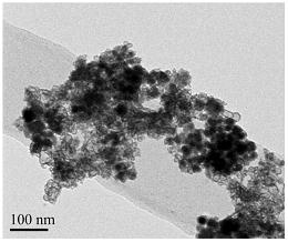 粒径小于50纳米的中空锡合金纳米颗粒的制备方法及应用