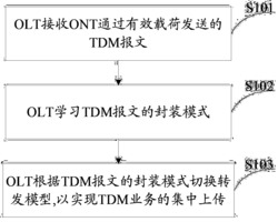 一种TDM业务的处理方法、装置及系统