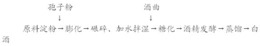 一种小曲酒发酵免蒸煮原料的制备方法