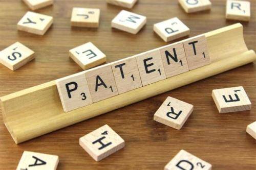 专利申请书怎样书写的形式最为合理？